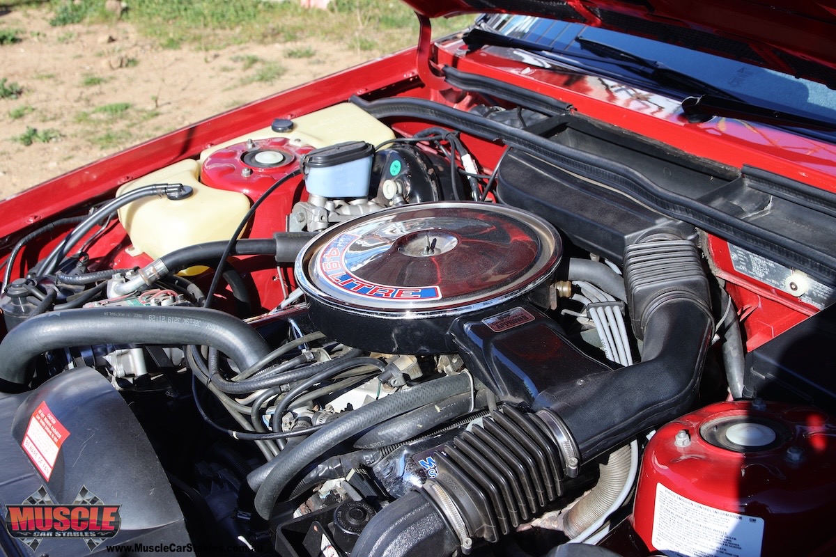1986 HDT VL SS Group A Pluss Pack air intake